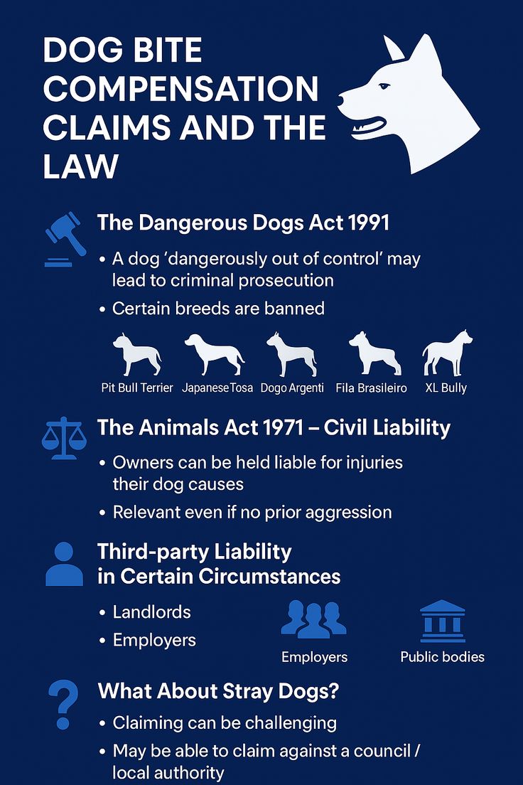 An infographic showing different dog bite laws in the UK