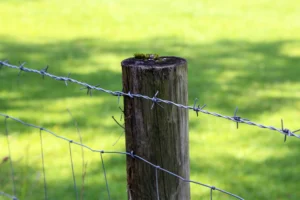 A close up of barbed wire fencing with a green field in the background.
